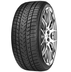 GRIPMAX Pro Winter 225/40R19 93 V